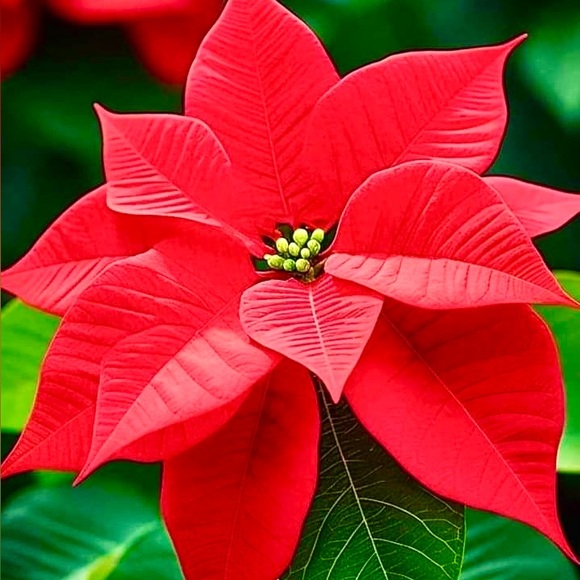 ππ€ππ΄ππ€ππ΄ππ€ππ΄ππ€ππ΄ - Picture 3 of 13